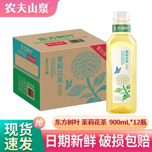 农夫山泉东方树叶茶饮料整箱装 9瓶 东方树叶茉莉花茶500ml