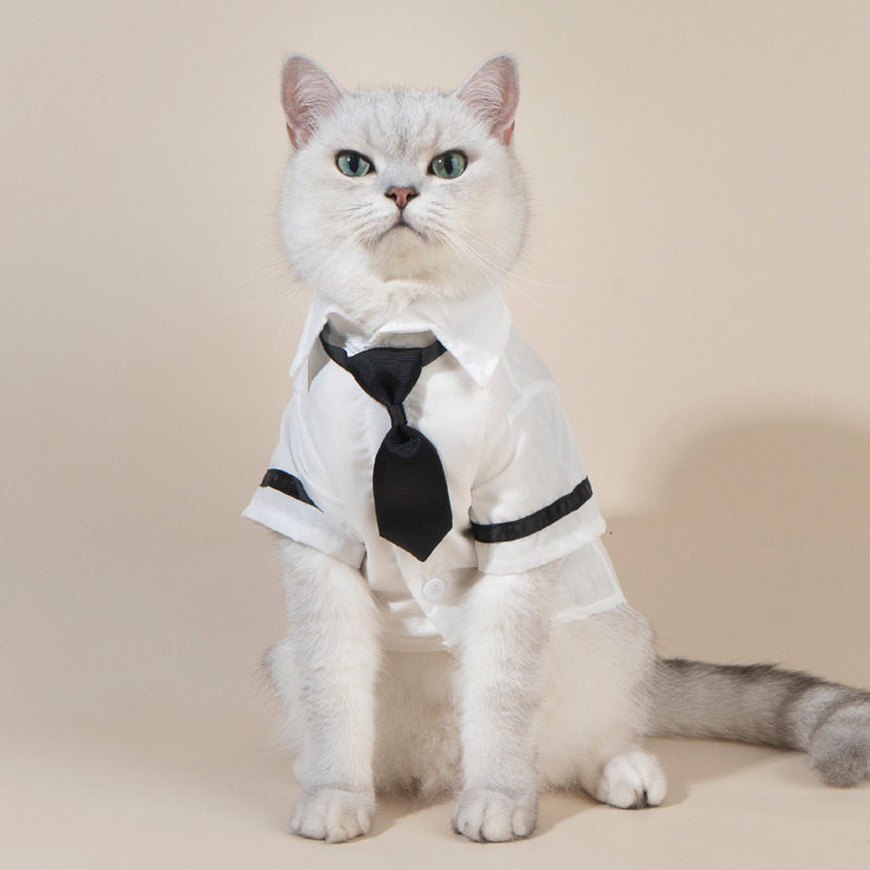 宠物衣服春夏款 狗狗衣服衬衫 水果风格猫咪领带衬衫套装新款