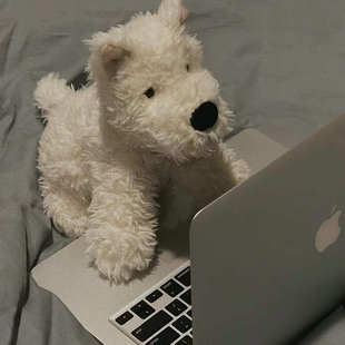 英国jELLYCAT西高地小狗狗门罗苏格兰梗可爱狗犬公仔毛绒玩具安抚