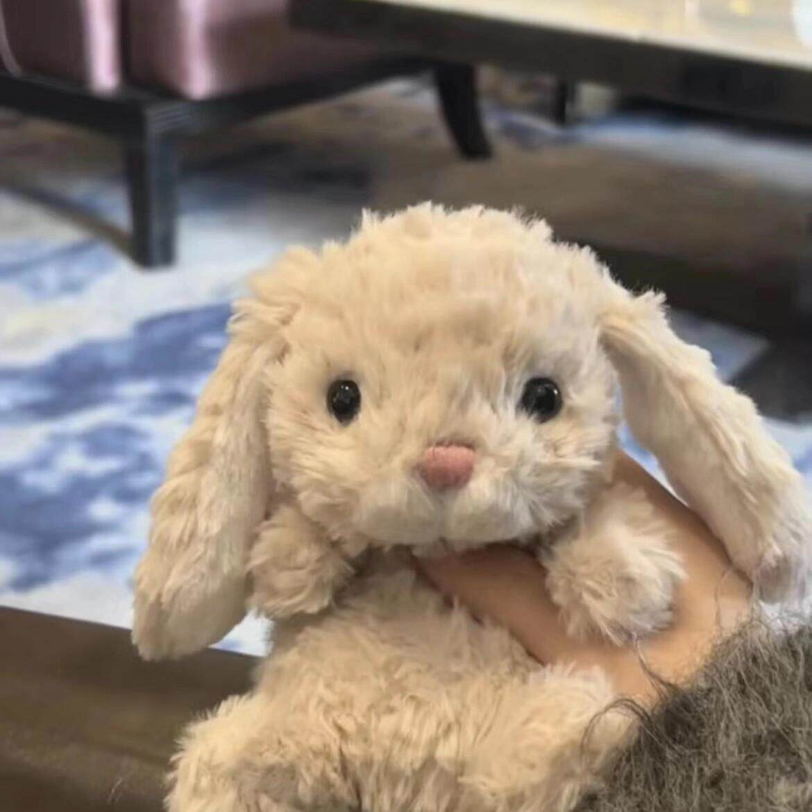 jellycatyummy小兔子鸭毛绒玩偶图片