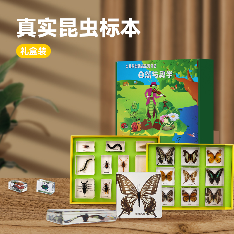 千千谷儿童观察生物昆虫标本玩具