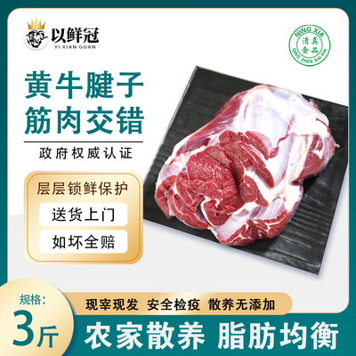 牛肉新鲜金钱腱牛腱子新鲜现杀