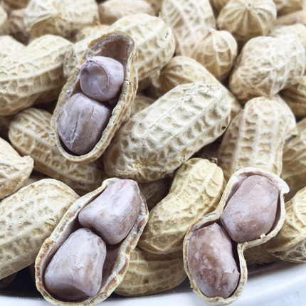 【2斤特价】龙岩花生 水煮蒜香花生咸干湿烤花生核桃味休闲食品50