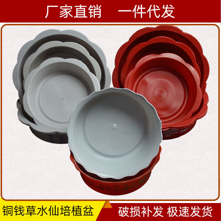 D3塑料花盆瓶红白水仙碗莲睡莲铜钱草富贵水养竹水培盆栽