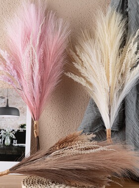 绿植物芦苇花束仿真花假花装饰工艺品INS风MW85101定制