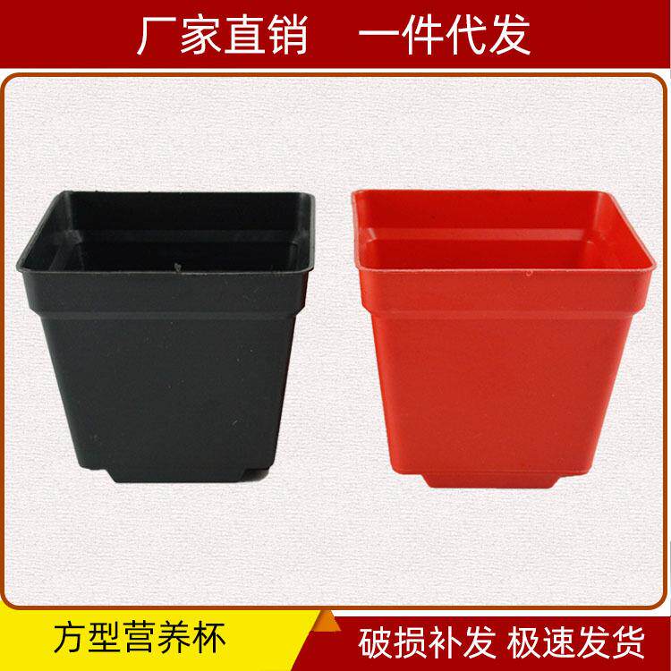 方型营养杯塑料花盆钵盆栽花卉基地多肉育苗培植黑红色[厂价直供]