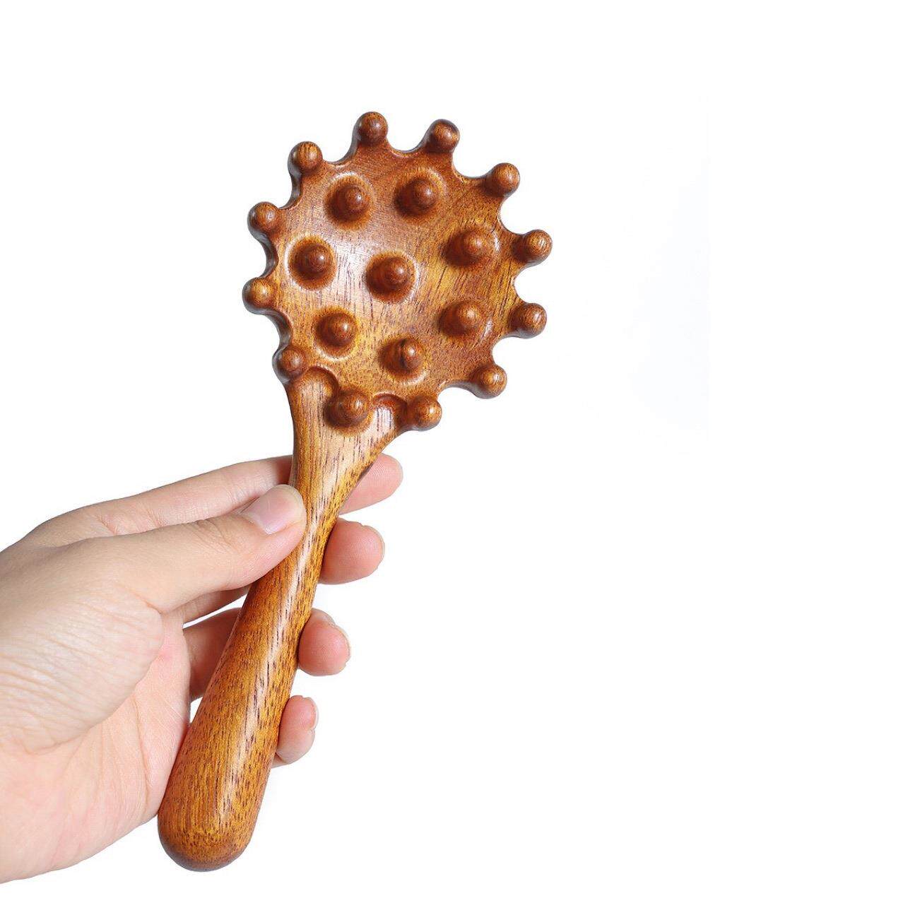 创意贝壳抓钱梳子檀木按摩梳整木一体头部经络耙子颈部头疗按礼物