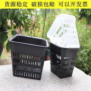 蝴蝶兰专用控根花盆铁皮石斛方形加厚塑料定植篮生根盆水培定植篮