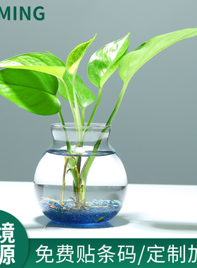 ins小清新简约透明花瓶创意玻璃客厅小鱼缸摆件装饰品水培插花器