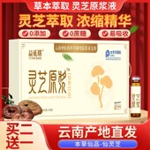 益延膳鲜灵芝精萃液口服液原液正宗浓缩型灵芝原浆益延膳旗舰店