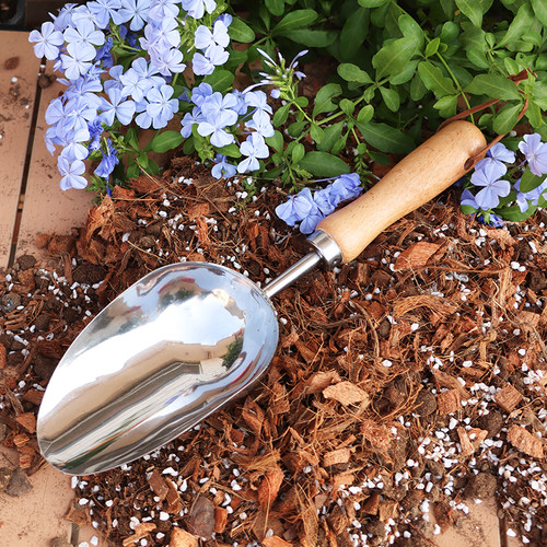 园艺铲子不锈钢铲头榉木手柄