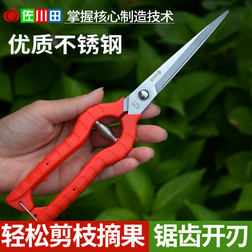 佐川田905不锈钢采果剪摘果采摘稀果剪葡萄剪不锈摘花椒橘子剪刀