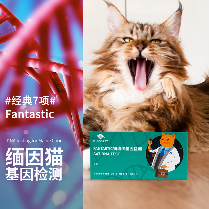 discopet喵星探索缅因猫基因检测经典七项猫咪体检