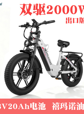Nathaniel20寸助力车2000W双电机长续航通勤休闲代步车工厂直发
