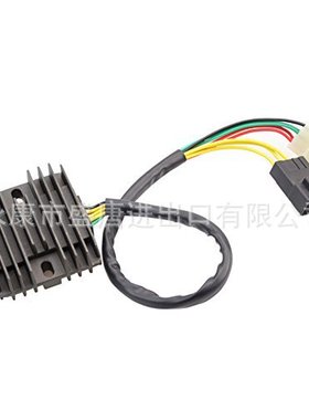 GOOFIT 摩托车船用电机水银新型电压整流调节器适配R600F4