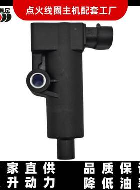 DELPHI 28198992 点火线圈 初级0.6欧德尔福系统高压包