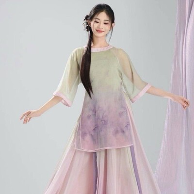 古典舞新款身韵纱衣飘逸古风民族舞蹈服练功仙气大摆裙装演出套装