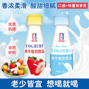 南国乳业水牛酸奶 12瓶儿童牛奶官方正品 广西水牛酸奶瓶装 200ml