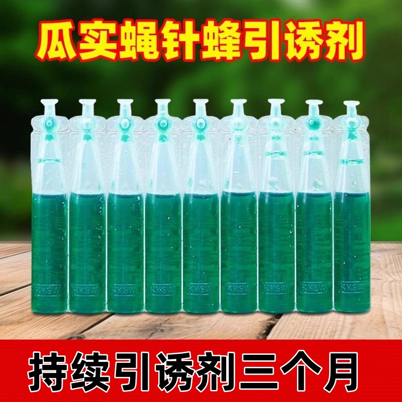 果实蝇引诱剂针蜂诱捕器专用液棉芯棒诱粘瓜锋食蝇果蝇信息素药水