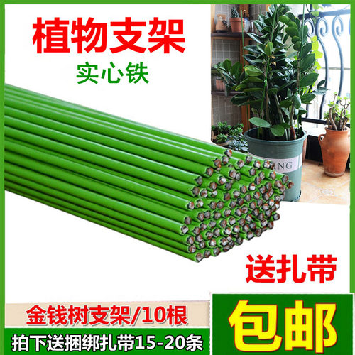 艺支架粗细铁线植物种花