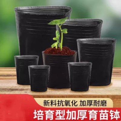 营养杯育苗杯营养钵育苗盆塑料加厚一次性农用营养袋育苗袋花盆大