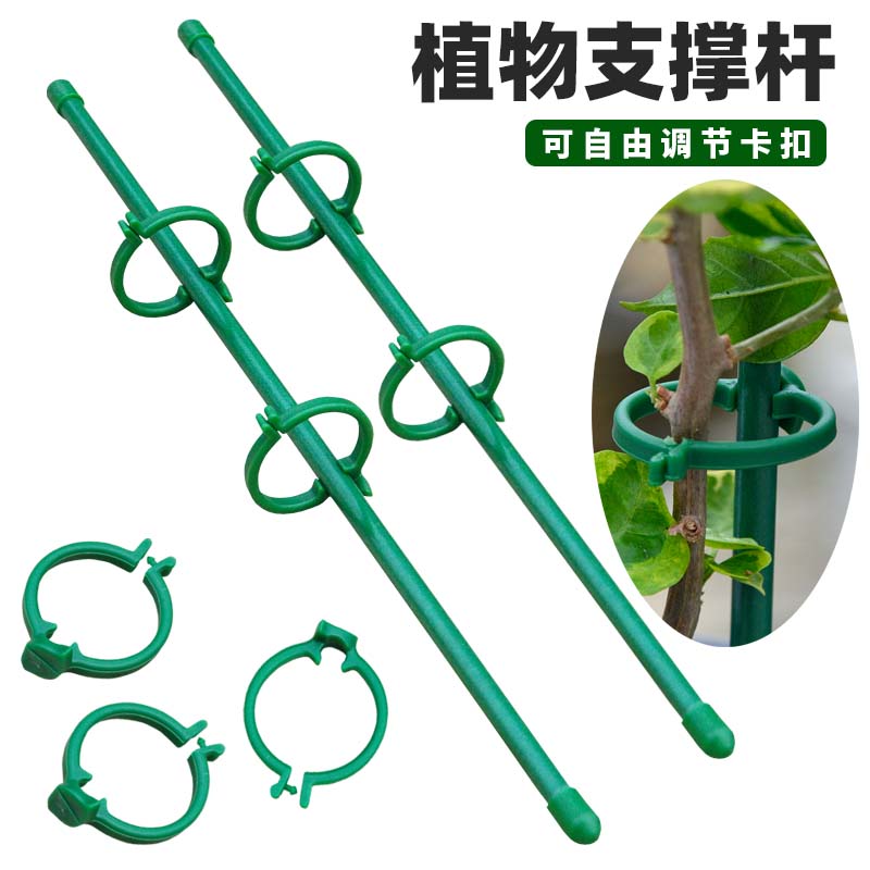 植物支撑杆可调节卡扣式攀爬藤杆支架瓜果蔬菜固定架子爬藤支撑杆图片