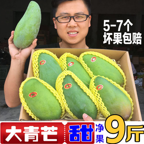 大青芒金煌芒大芒果新鲜包邮