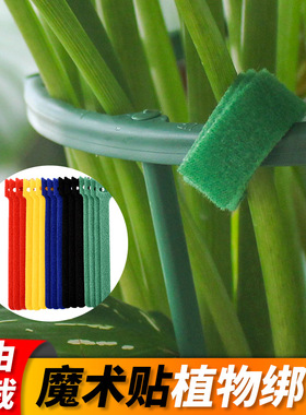 绿植园艺扎线扎带自粘植物绑带绿色爬藤植物捆绑固定魔术贴绑花器