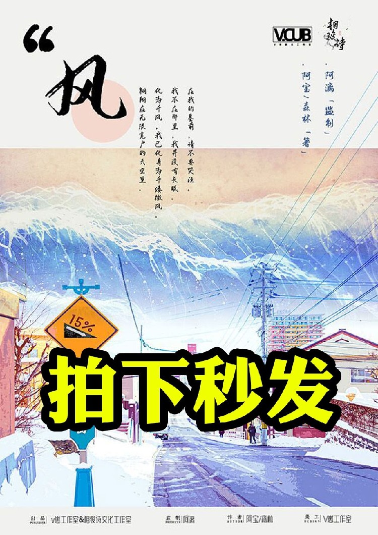 秒发完整高清版【风】剧本杀电子版复盘解析真相dm打印
