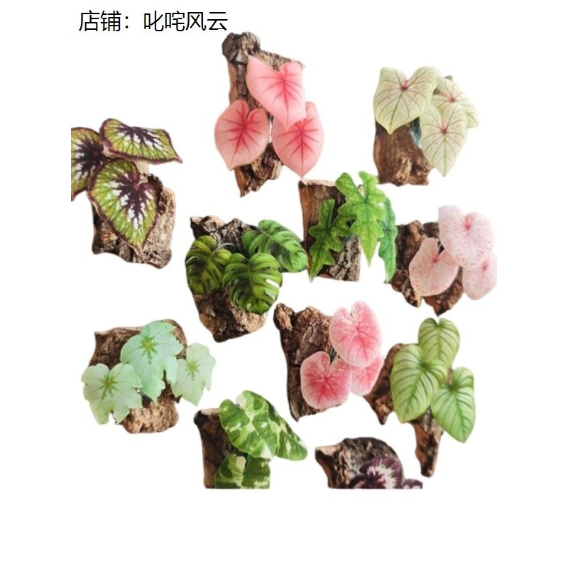 观叶热植冰箱贴diy材料包
