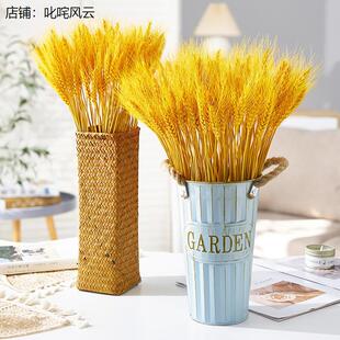 麦穗专用花瓶桌面摆件插花盆放银柳枝干适合红柳稻穗装麦穗的花瓶