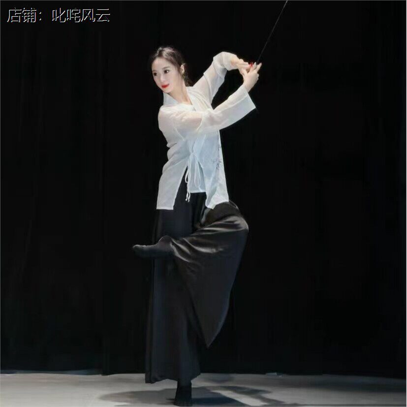 古典舞演出服新款现代舞衬衫练功服国风书法竹叶纱衣中国舞舞蹈服