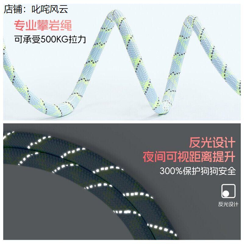 网红小狗牵引绳P链防爆冲