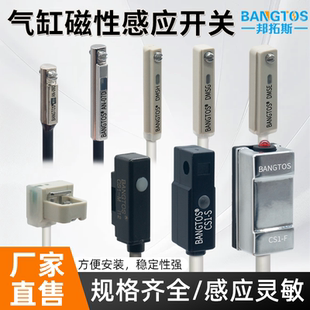 氣缸位置傳感器DMS F磁性開關 二線常開DS1 邦拓斯電子式