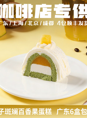 商用蓓听椰子斑斓百香果蛋糕芝士冷冻咖啡店动物奶油冷冻甜品成品