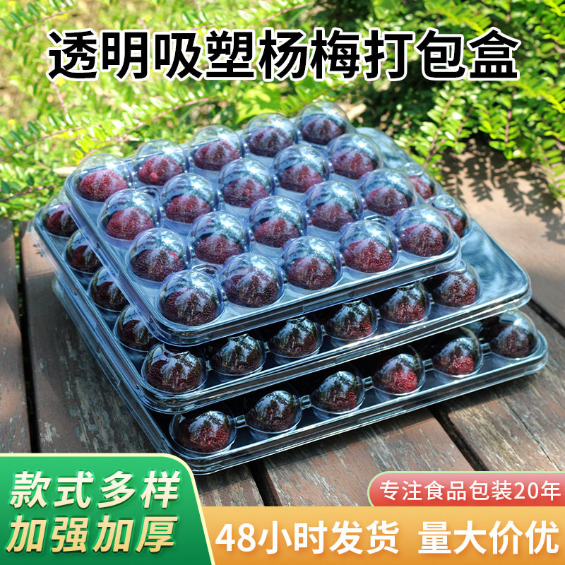杨梅打包盒透明水果吸塑托盘快递包装盒加厚一次性透明水果打包盒