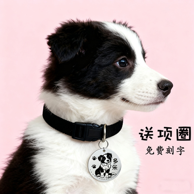 狗狗挂牌定制防走丢牌送项圈