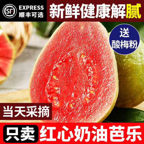 红心芭乐软糯香甜5斤顺丰包邮