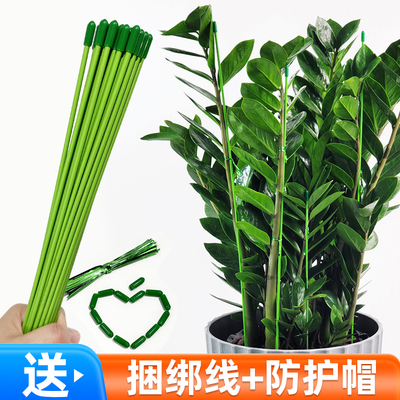 金钱树支撑杆园艺花架花卉植物防倒伏爬藤架蝴蝶兰花包塑铁丝固定