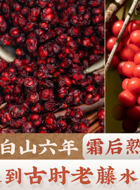 东北长白山北五味子野生种子泡茶水中药材正品干货250g包邮菟丝子