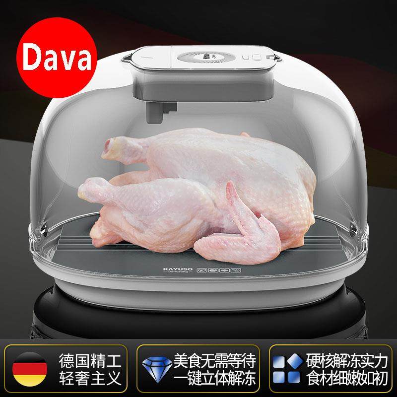 德国解冻器解冻神器家用食物恒温快速雾化牛板商用解冻排冻肉