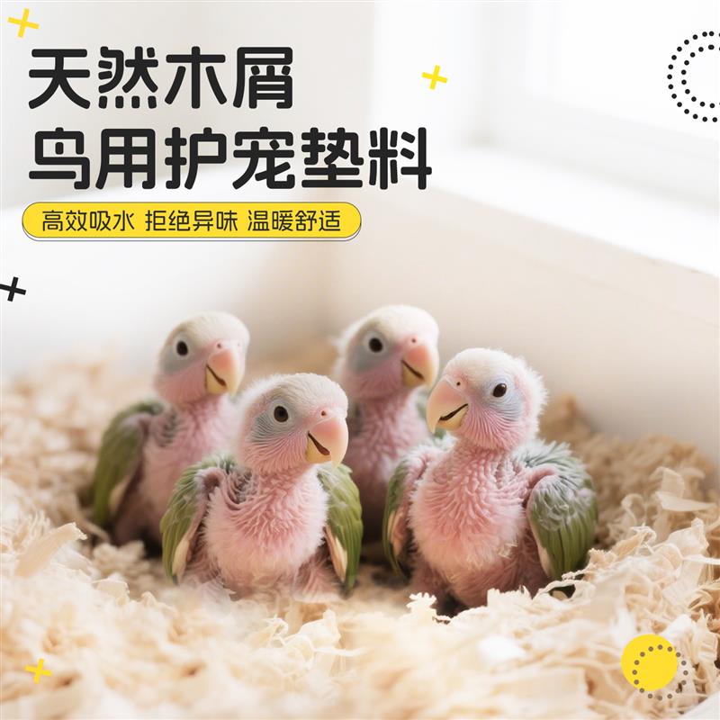 鹦鹉雏鸟垫料繁殖箱粪便清