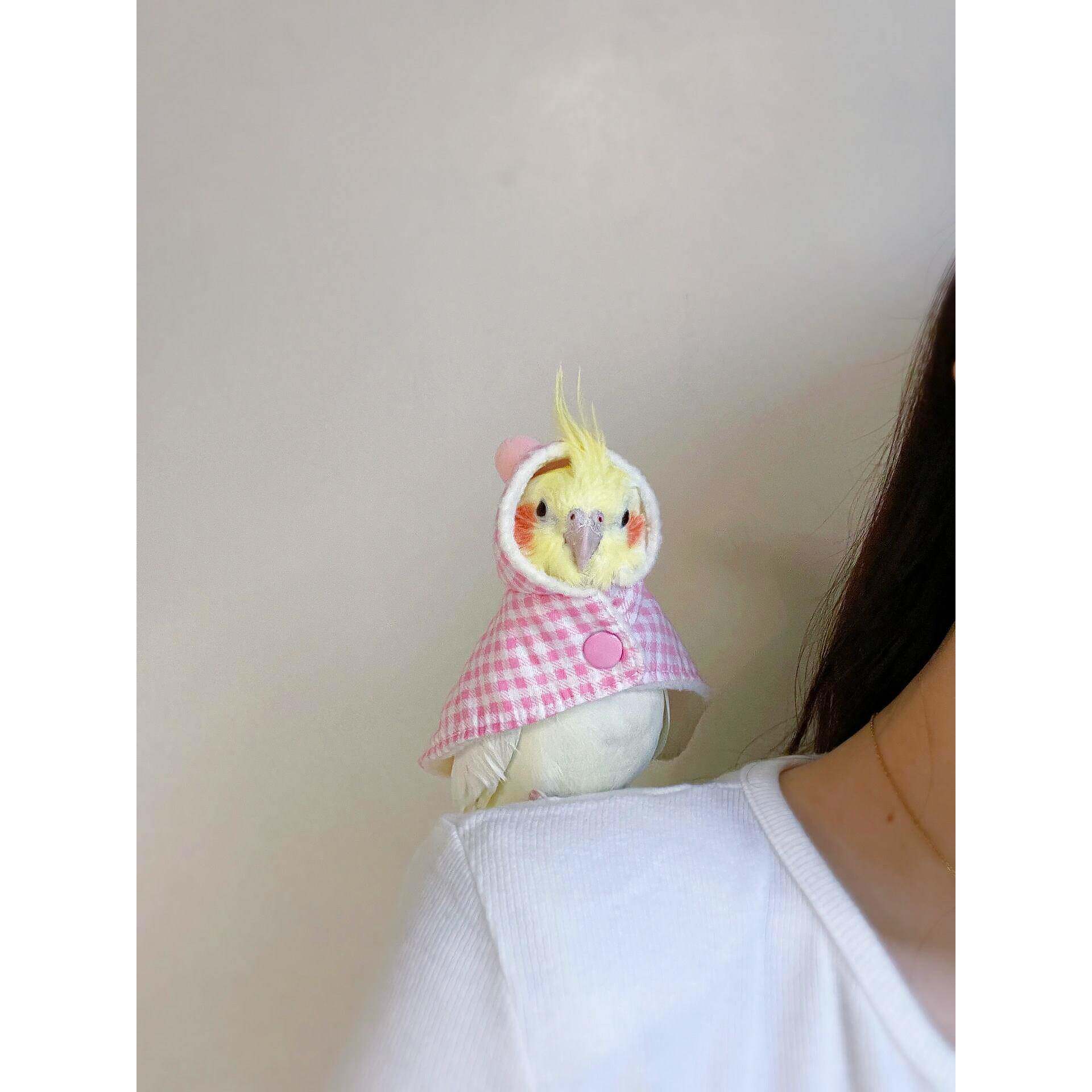 鹦鹉衣服冬季外出服多巴胺披风牡丹玄凤小太阳保暖斗篷小宠专用