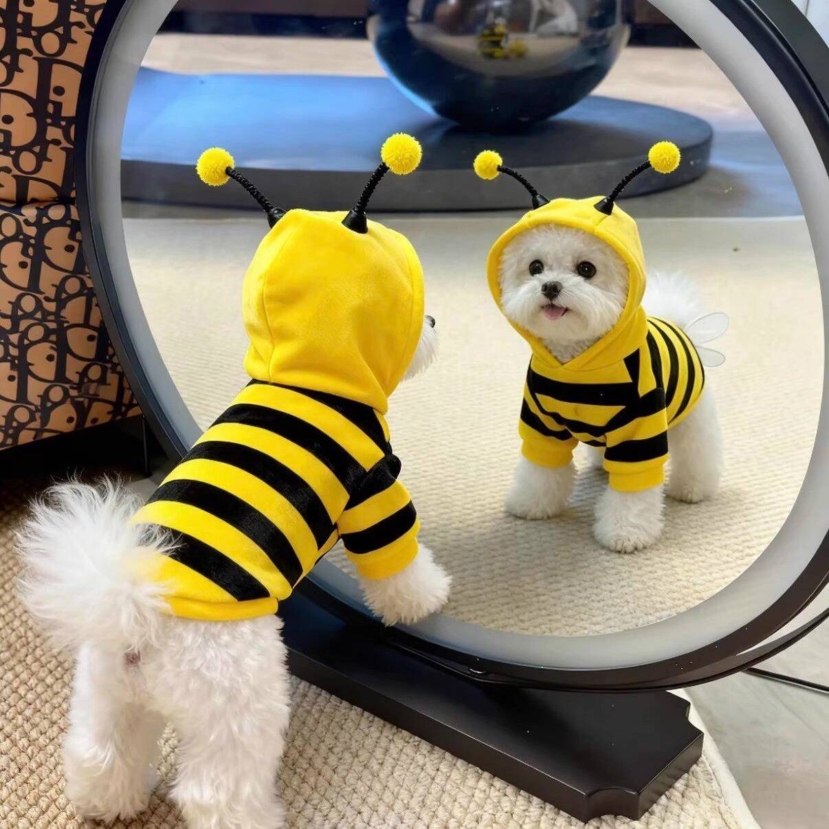 狗狗衣服小型犬可爱小蜜蜂卫衣秋冬比熊博美西高地小猫咪保暖防掉