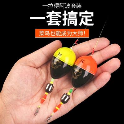 阿波浮漂线组套装日夜两用
