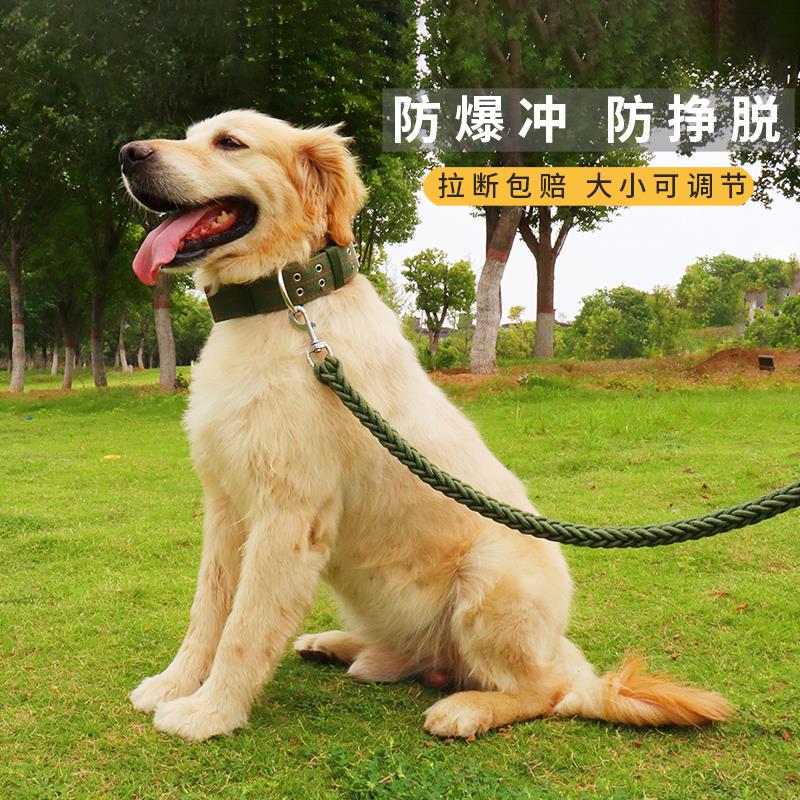 狗牵引脖圈绳中大型犬项圈