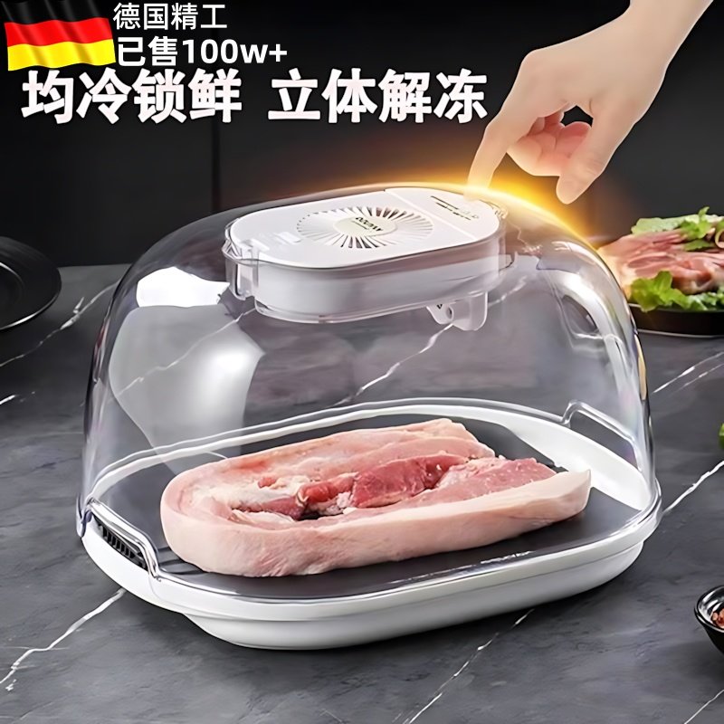 德国高品质快速解冻器自动化冻肉食物食品解冻神器家用保鲜机导热