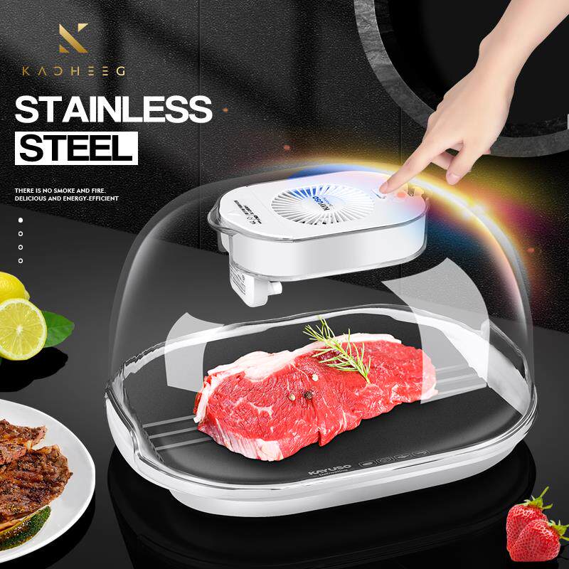 德国解冻器神器保鲜快速家用食物解冻机商用恒温牛排化冻盘肉食品