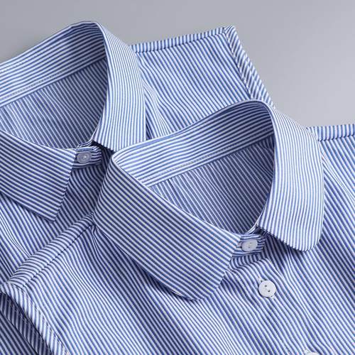 假领子女衬衫领条纹尖领圆