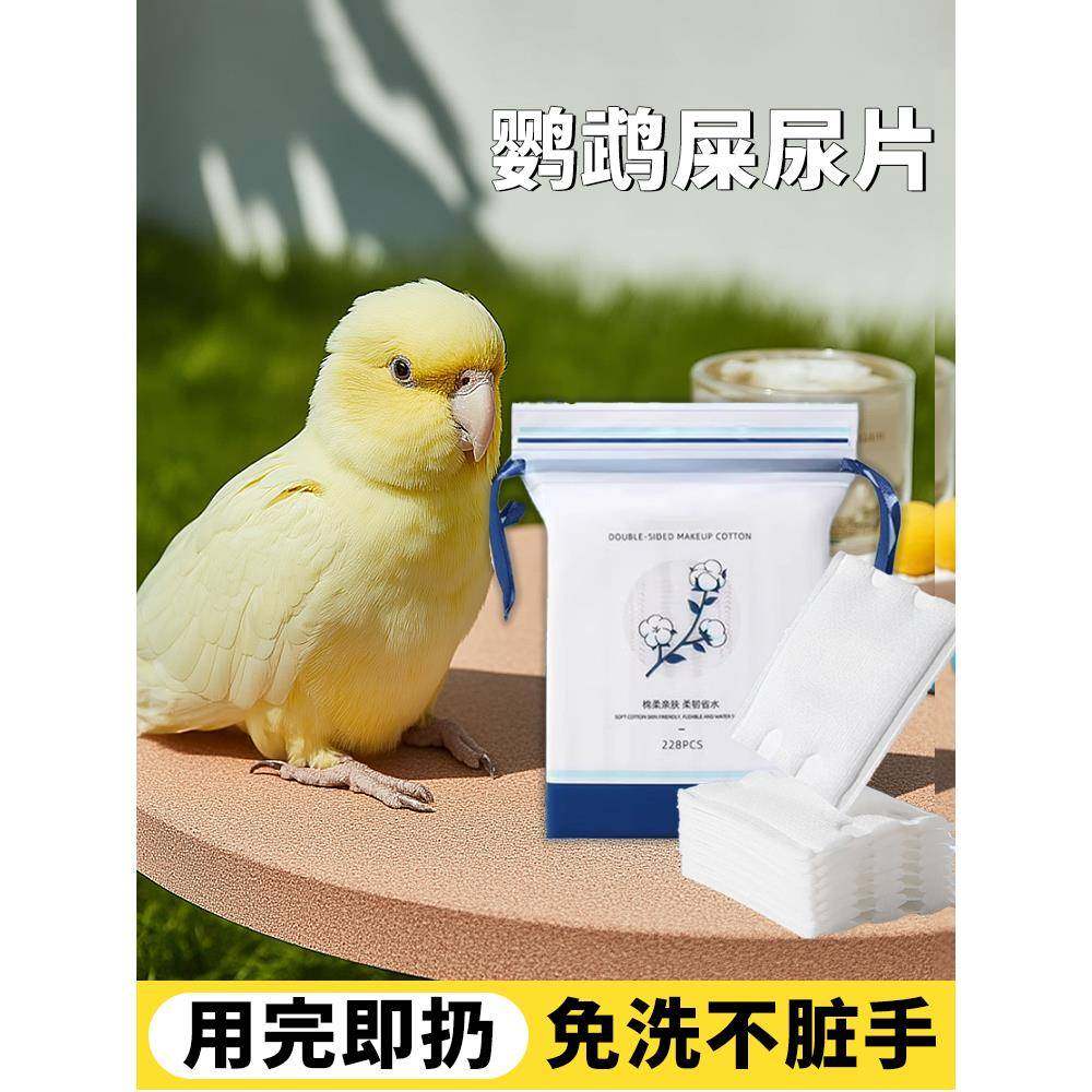 鹦鹉尿不湿屎兜一次性尿片垫隔尿布小鸟玄凤和尚虎皮牡丹用纸尿裤,宠物/宠物食品及用品,鸟禽其他,淘宝优惠券,粉丝福利购,淘宝优惠卷